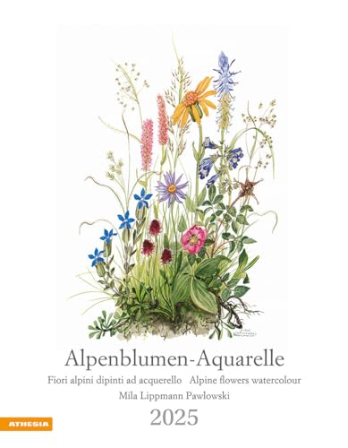 Alpenblumen-Aquarelle Kalender 2025: Fiori alpini dipinti ad acquerello – Alpine flowers watercolour von Athesia-Tappeiner Kalender