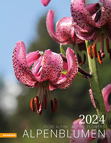 Alpenblumen Kalender 2024: Fiori alpini – Alpine flowers von Athesia-Tappeiner Kalender
