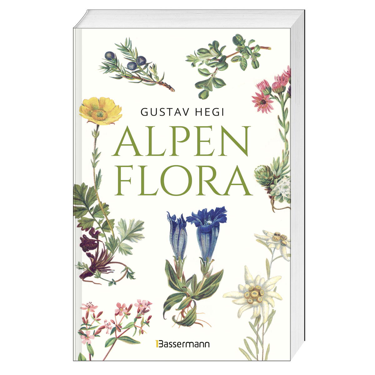 Alpenflora Alpenflora von Bassermann, Edition