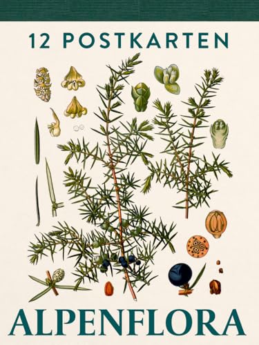 Alpenflora: Postkartenbuch. Zwölf hochwertige Postkarten mit ausgewählten botanischen Zeichnungen aus dem Buch „Alpenflora“ Alpenflora: Postkartenbuch. Zwölf hochwertige Postkarten mit ausgewählten botanischen Zeichnungen aus dem Buch „Alpenflora“