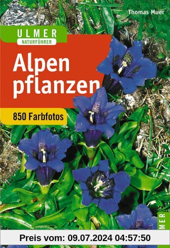 Alpenpflanzen