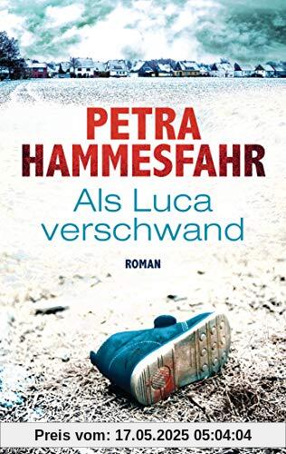 Als Luca verschwand: Roman