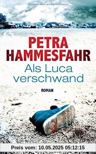 Als Luca verschwand: Roman