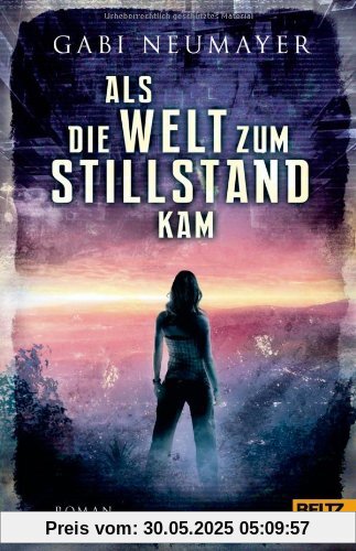 Als die Welt zum Stillstand kam: Roman