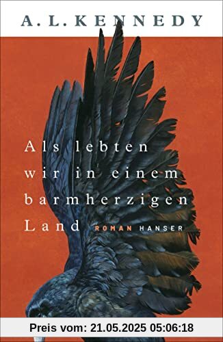 Als lebten wir in einem barmherzigen Land: Roman