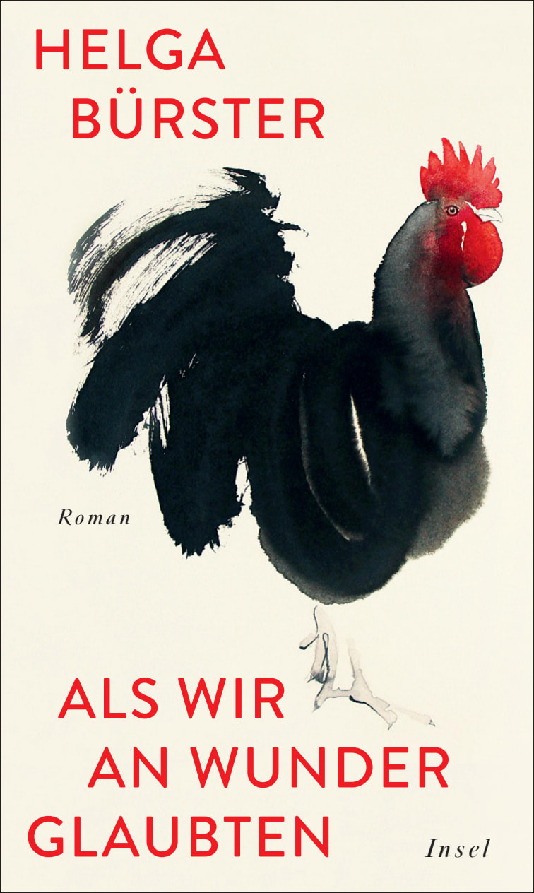 Als wir an Wunder glaubten Als wir an Wunder glaubten von Insel Verlag