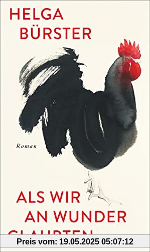 Als wir an Wunder glaubten: Roman