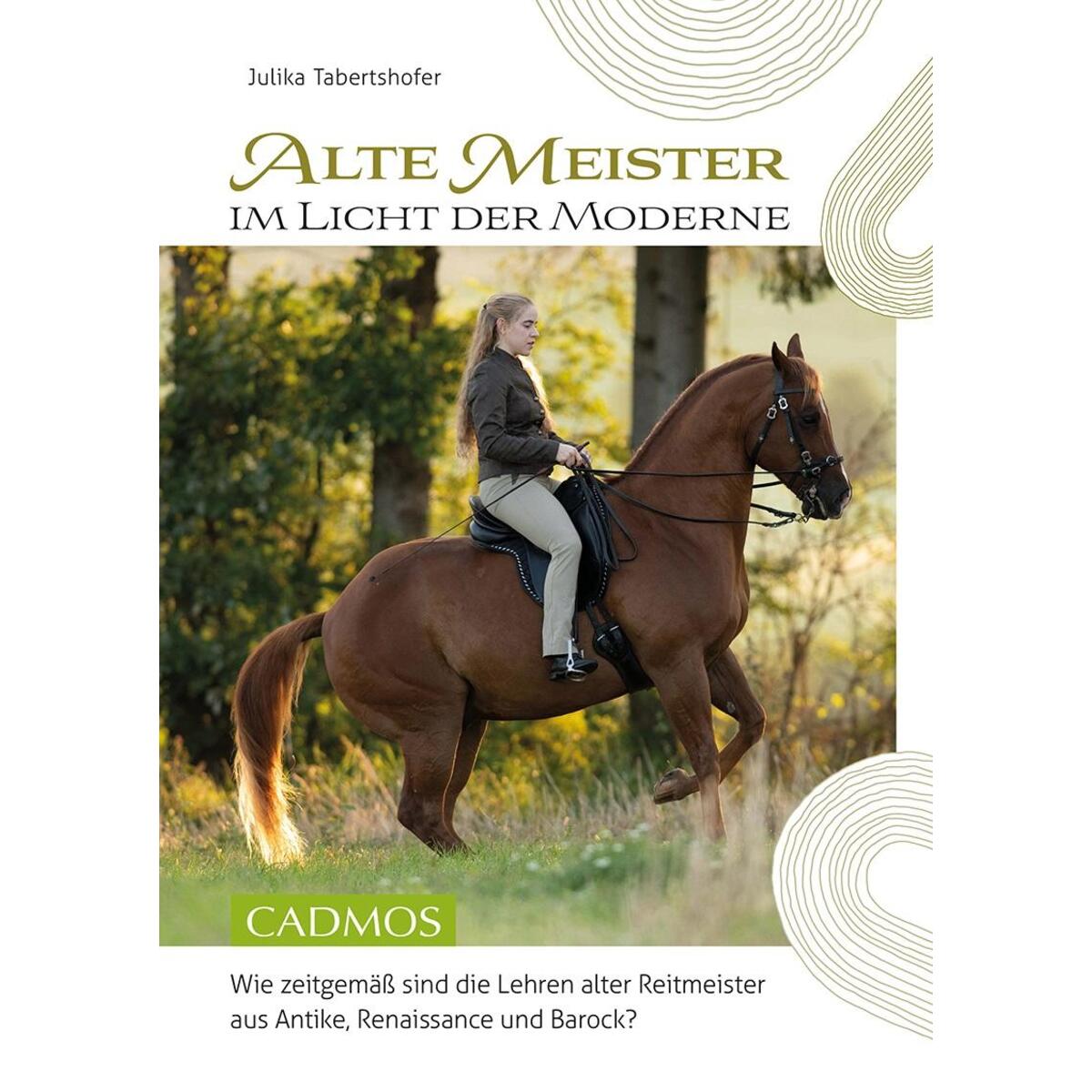 Alte Meister im Licht der Moderne Alte Meister im Licht der Moderne von Cadmos Verlag GmbH