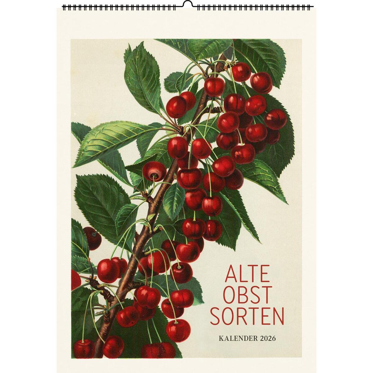 Alte Obstsorten. Wandkalender 2026 Alte Obstsorten. Wandkalender 2026 von Favoritenpresse
