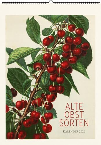 Alte Obstsorten. Wandkalender 2026: Motive aus »Deutschland’s Obstsorten« von Müller/Bissmann/Poenicke Alte Obstsorten. Wandkalender 2026: Motive aus »Deutschland’s Obstsorten« von Müller/Bissmann/Poenicke von Favoritenpresse GmbH