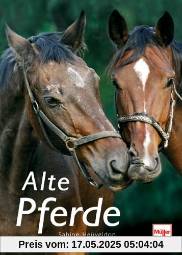Alte Pferde