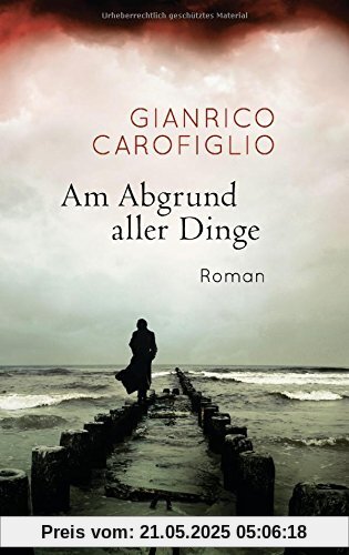 Am Abgrund aller Dinge: Roman