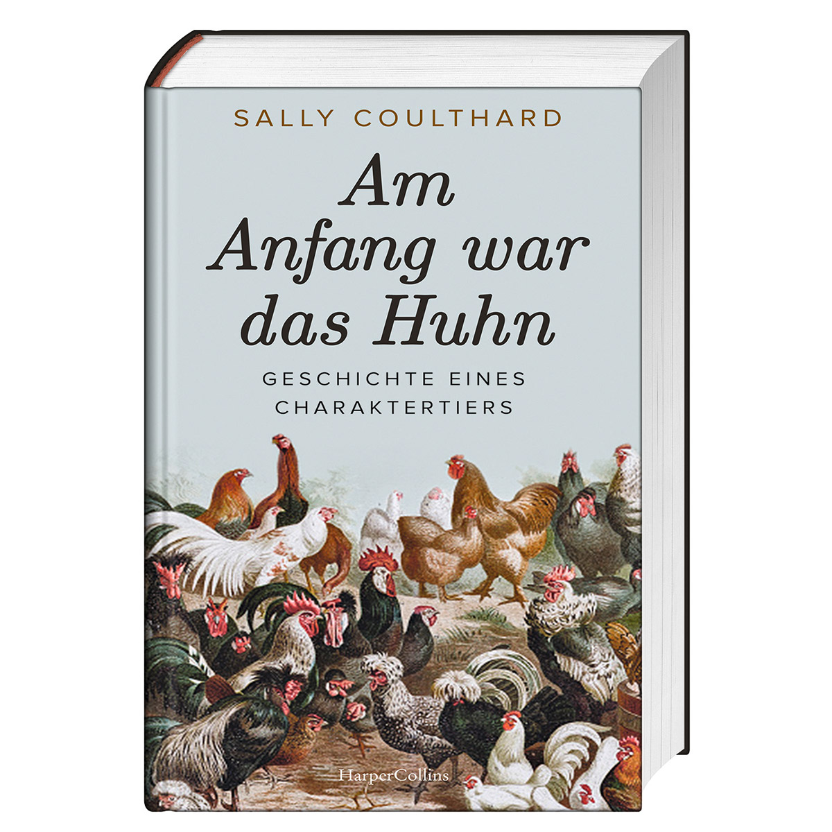 Am Anfang war das Huhn Am Anfang war das Huhn von HarperCollins Hardcover