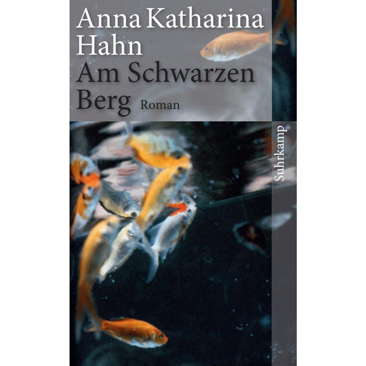 Am Schwarzen Berg von Suhrkamp Verlag AG