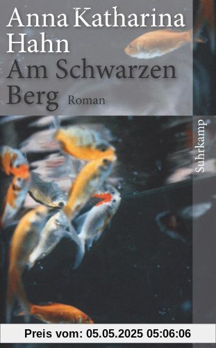 Am Schwarzen Berg: Roman (suhrkamp taschenbuch)