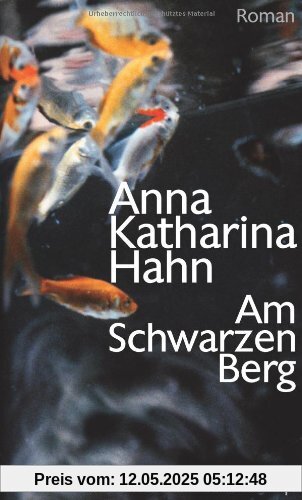Am Schwarzen Berg: Roman