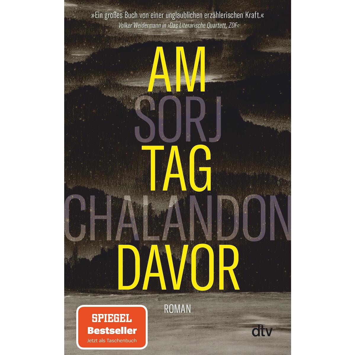Am Tag davor von dtv Verlagsgesellschaft