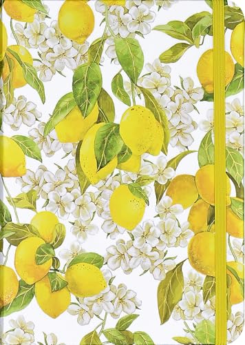 Amalfi Lemons Journal (Diary, Notebook) von Peter Pauper Press