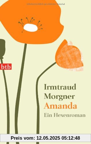 Amanda: Ein Hexenroman