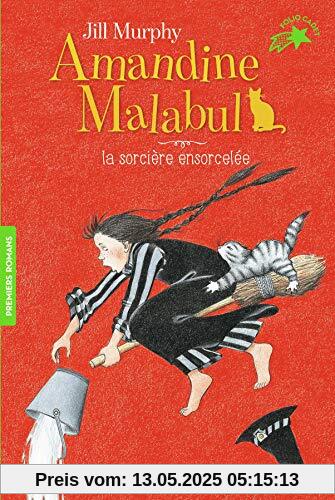 Amandine Malabul, Tome 3 : La sorcière ensorcelée