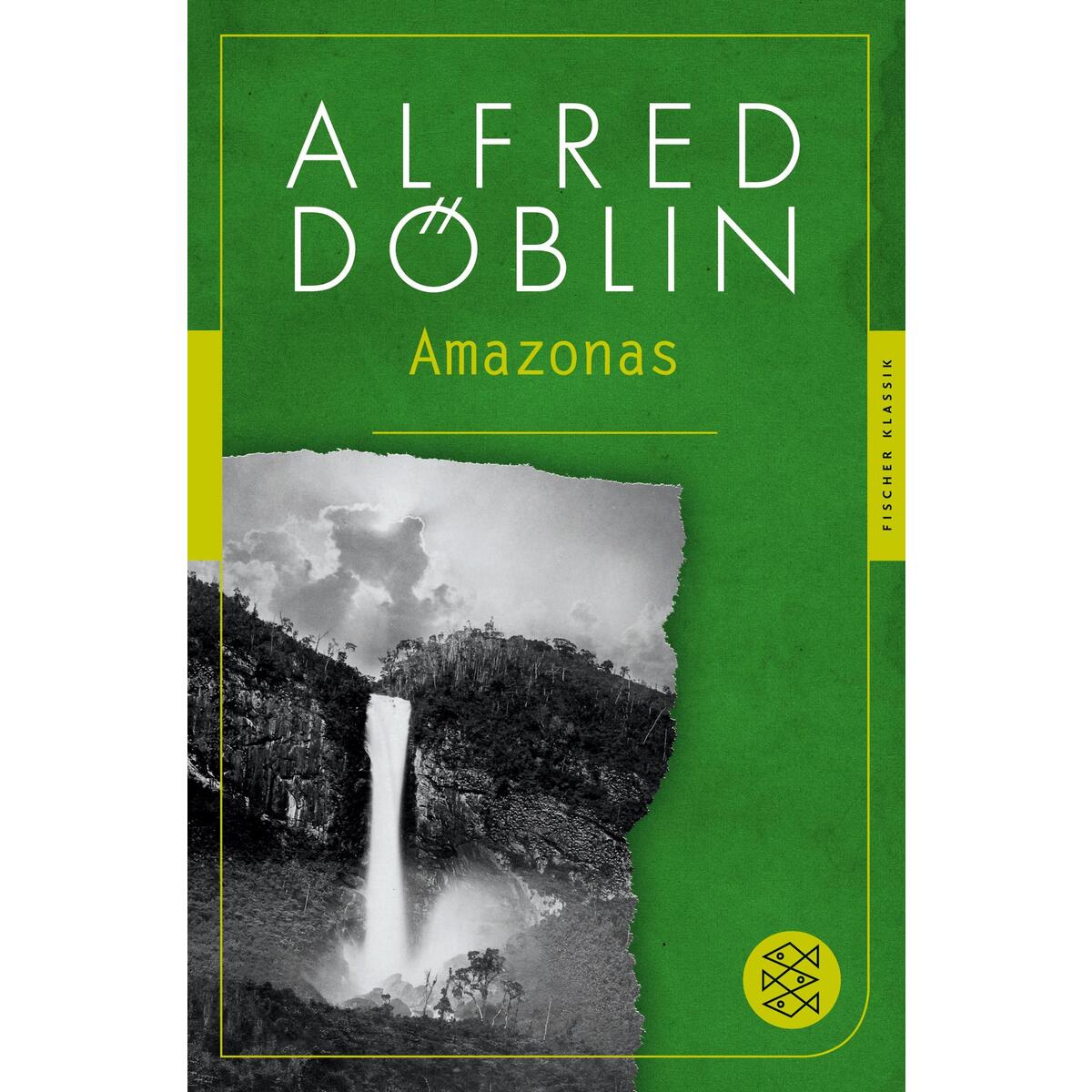 Amazonas Amazonas von S. Fischer Verlag
