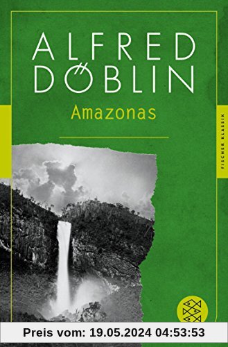 Amazonas: Romantrilogie (Fischer Klassik)