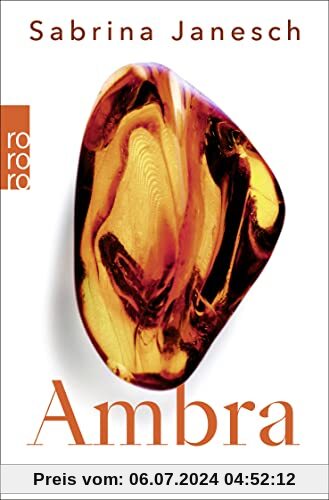 Ambra: Eine deutsch-polnische Familiengeschichte. | «Danzig hat wieder eine deutsche literarische Stimme.» FAZ