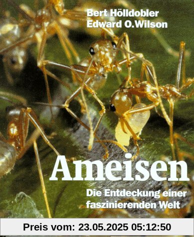 Ameisen. Die Entdeckung einer faszinierenden Welt