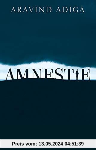 Amnestie: Roman