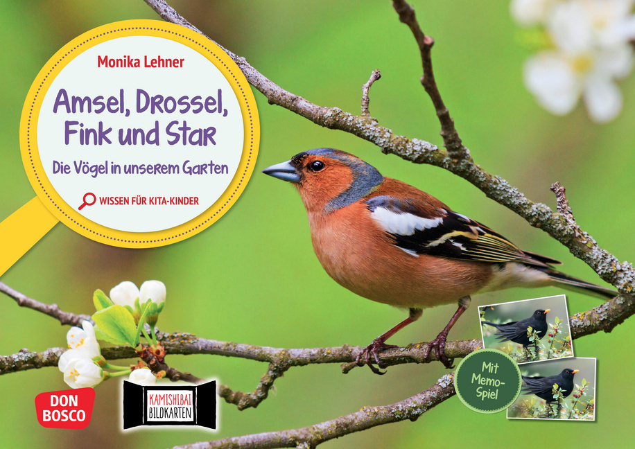 Amsel, Drossel, Fink und Star. Die Vögel in unserem Garten. Kamishibai Bildkarten und Memo-Spiel Amsel, Drossel, Fink und Star. Die Vögel in unserem Garten. Kamishibai Bildkarten und Memo-Spiel von Don Bosco Medien