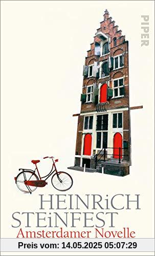 Amsterdamer Novelle: Literarische Erzählung mit Sprachwitz und Spannung