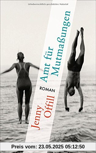 Amt für Mutmaßungen: Roman