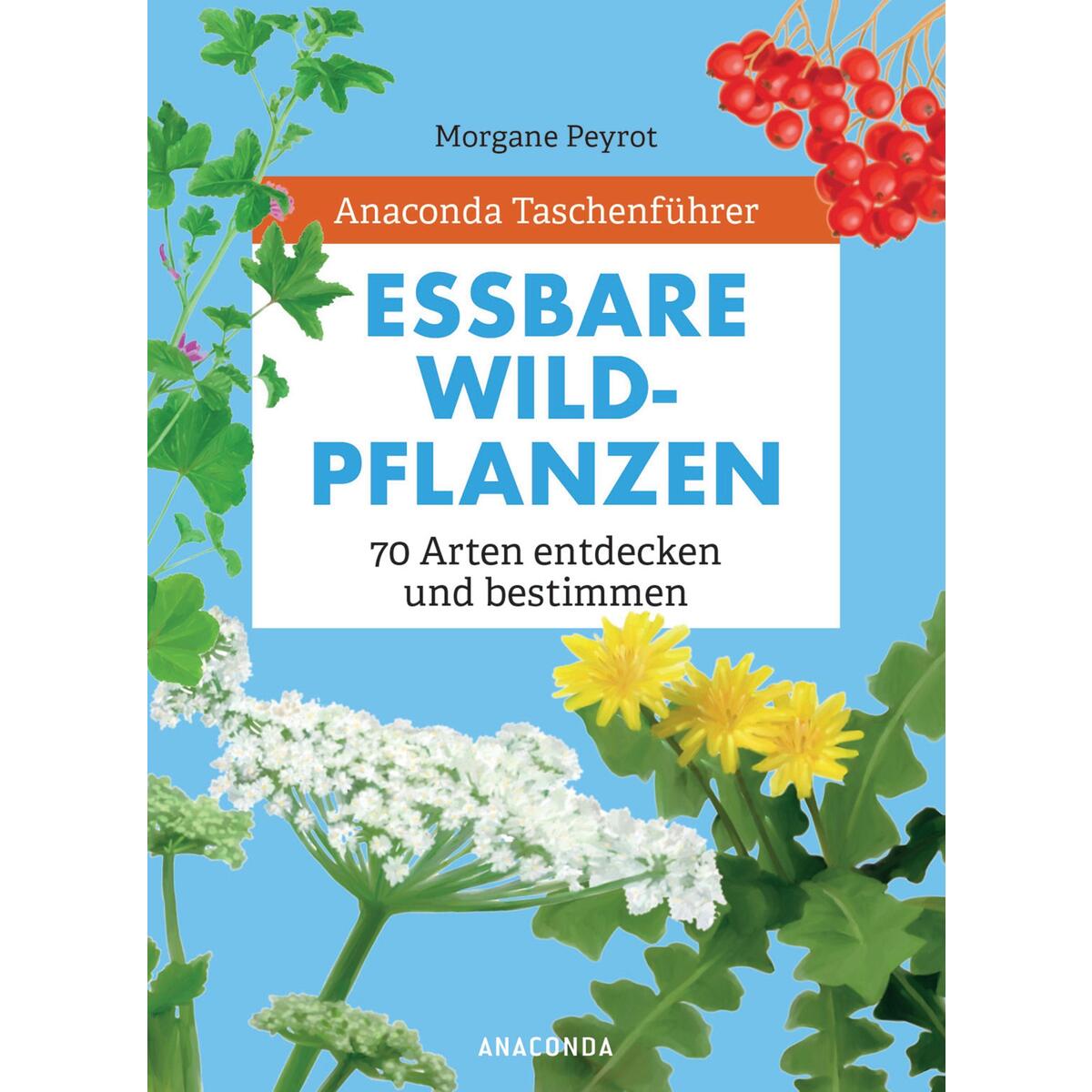 Anaconda Taschenführer Essbare Wildpflanzen. 70 Arten bestimmen und entdecken. - von Anaconda Verlag