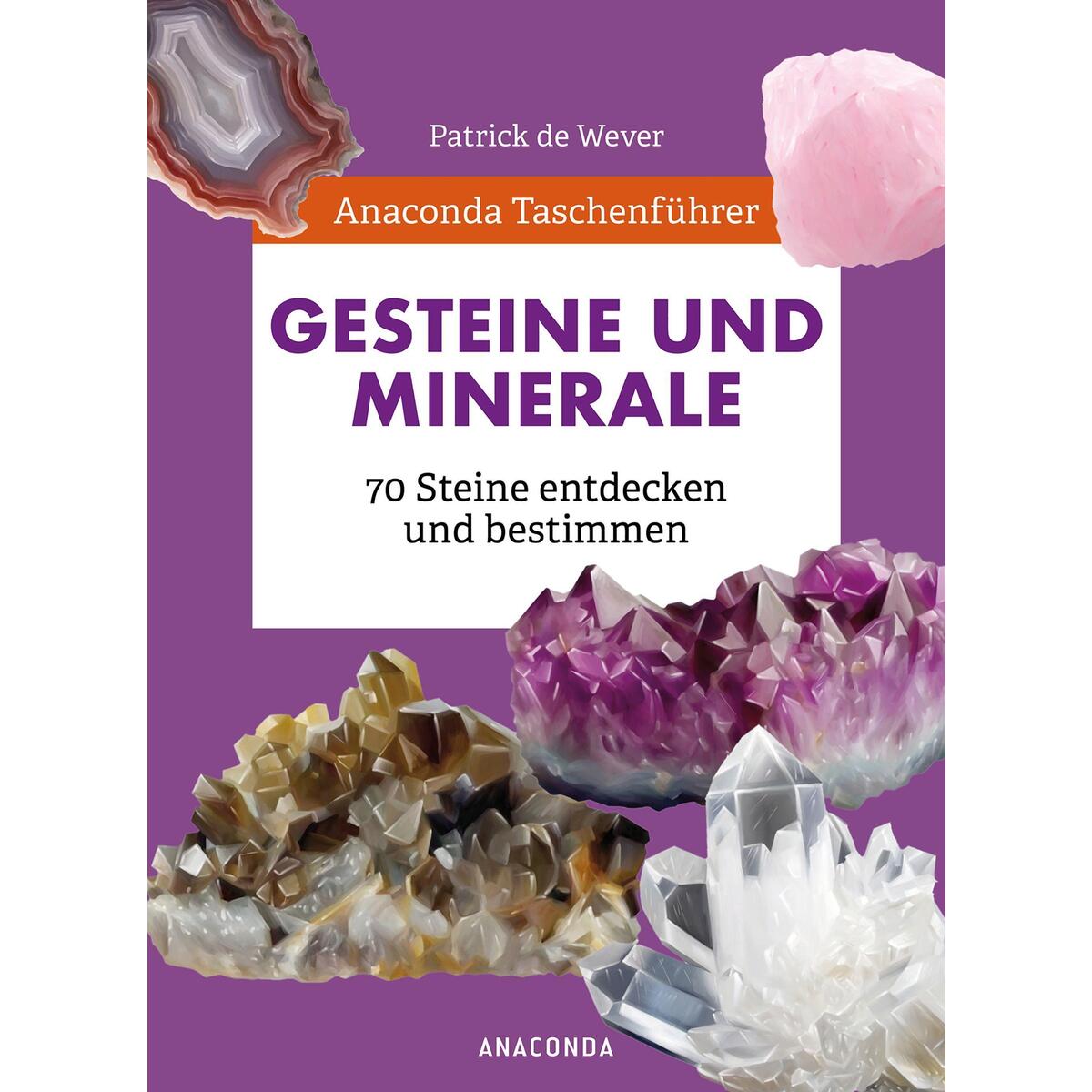 Anaconda Taschenführer Gesteine und Minerale. 70 Steine entdecken und bestimmen Anaconda Taschenführer Gesteine und Minerale. 70 Steine entdecken und bestimmen von Anaconda Verlag