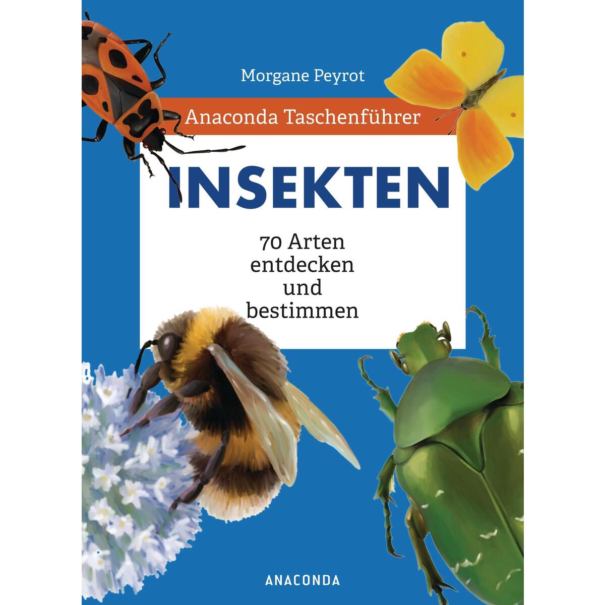 Anaconda Taschenführer Insekten. 70 Arten entdecken und bestimmen Anaconda Taschenführer Insekten. 70 Arten entdecken und bestimmen von Anaconda Verlag