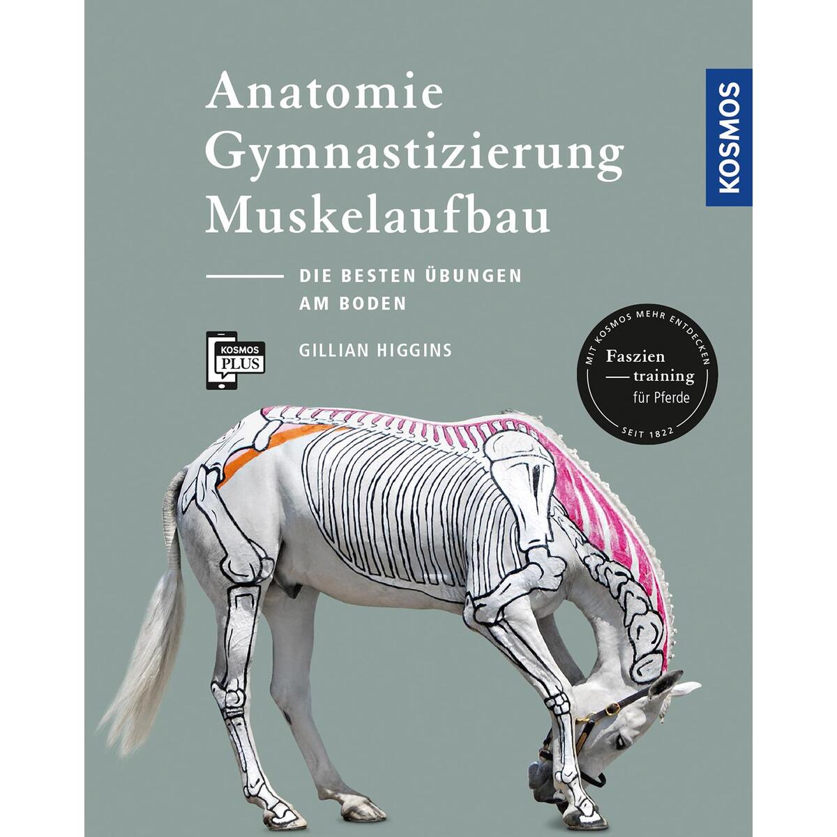 Anatomie, Gymnastizierung, Muskelaufbau von Franckh-Kosmos