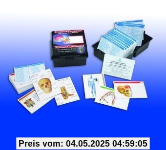 Anatomie-Lernkarten. Das Menschliche Skelett in Lernkartei: Eine didaktische Gesamtdarstellung der menschlichen Knochen, Bänder und Gelenke