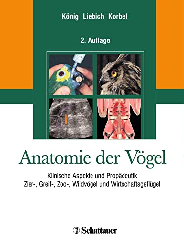 Anatomie der Vögel von Schattauer GmbH