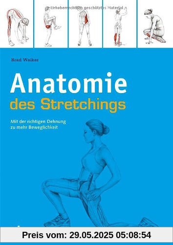 Anatomie des Stretchings: Mit der richtigen Dehnung zu mehr Beweglichkeit