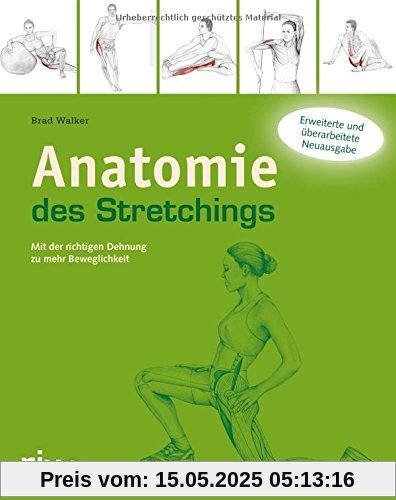 Anatomie des Stretchings: Mit der richtigen Dehnung zu mehr Beweglichkeit