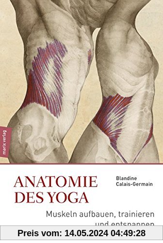 Anatomie im Yoga: Muskeln aufbauen, trainieren und entspannen