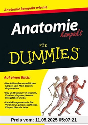 Anatomie kompakt für Dummies