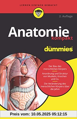 Anatomie kompakt für Dummies