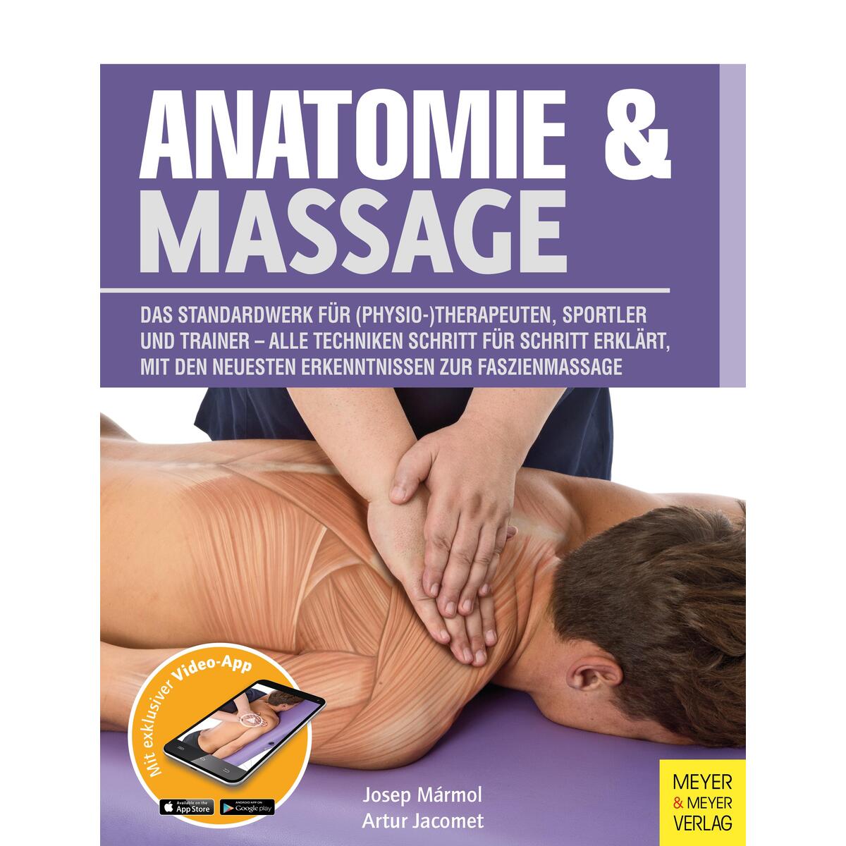 Anatomie & Massage von Meyer + Meyer Fachverlag