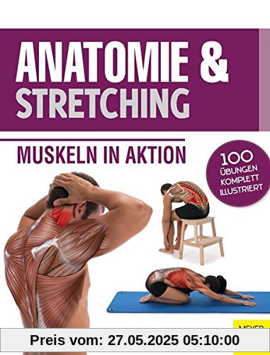 Anatomie & Stretching: Muskeln in Aktion