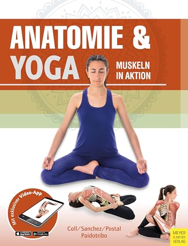 Anatomie & Yoga: Muskeln in Aktion (Anatomie & Sport, Band 5) von Meyer + Meyer Fachverlag