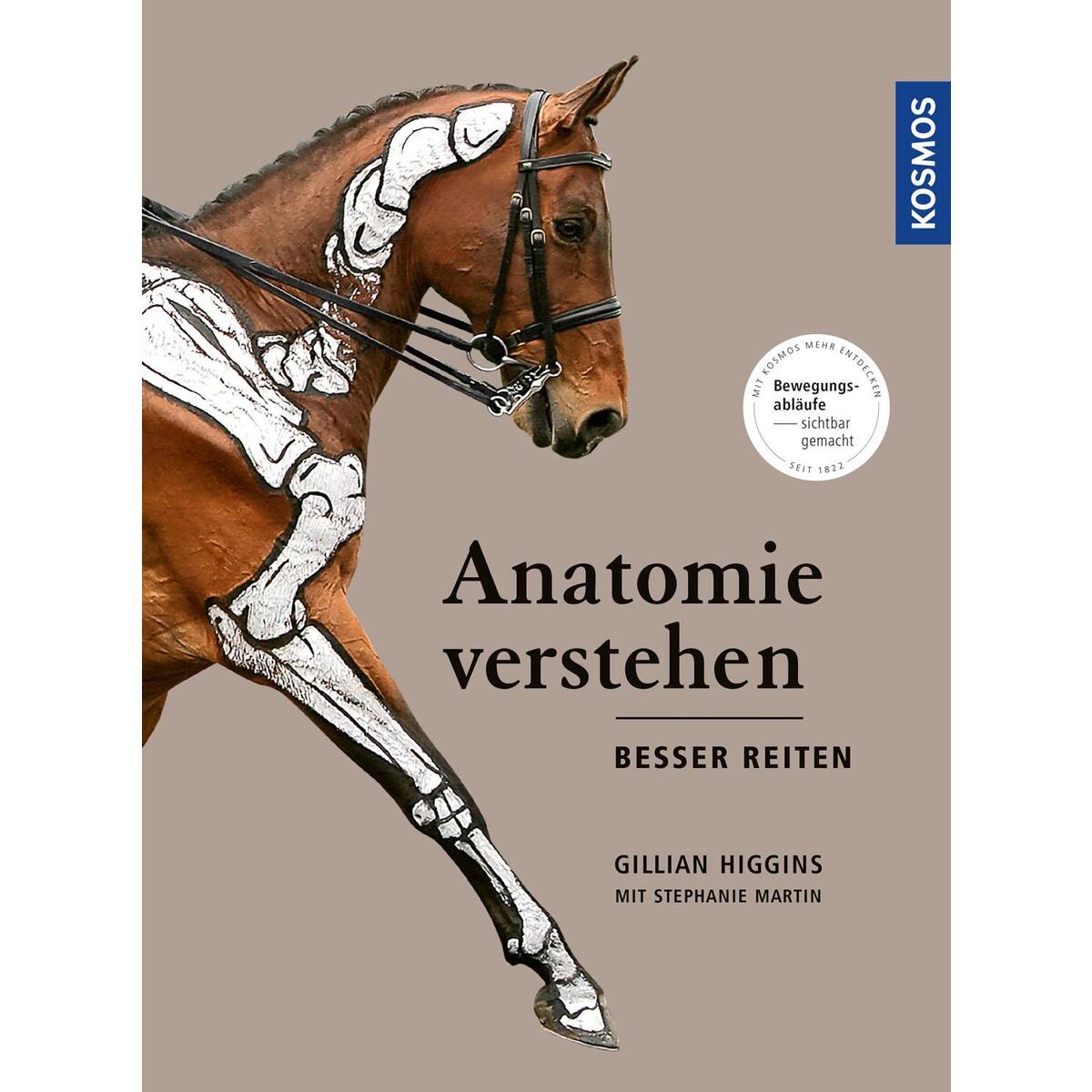 Anatomie verstehen - besser reiten Anatomie verstehen - besser reiten von Franckh-Kosmos