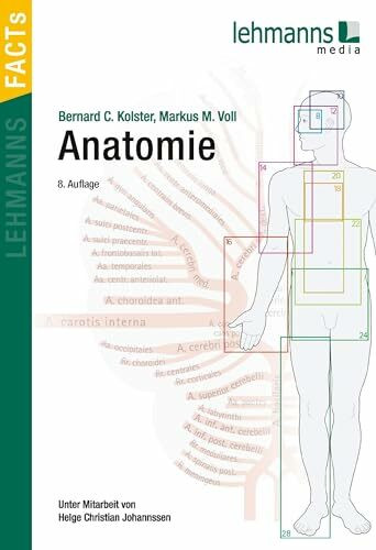 Anatomie: Lehmanns FACTS