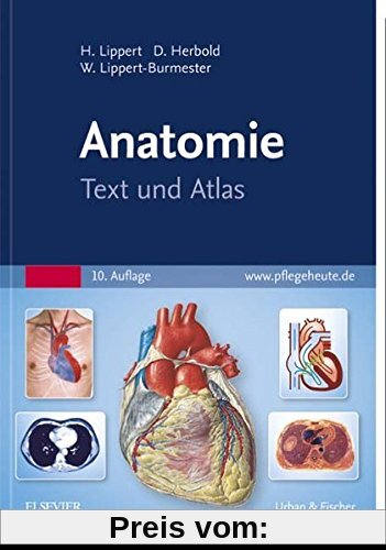 Anatomie: Text und Atlas