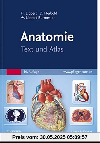 Anatomie: Text und Atlas
